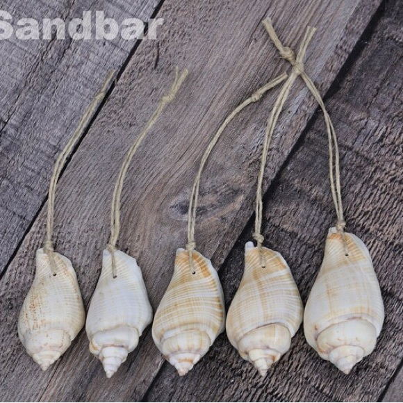Shell Ornament Gift Set of 6 Natural Decorations Beach Wedding Favor TheSandbar - Picture 1 of 4
